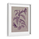 Estudio De La Naturaleza En Ciruela Y Taupe I - Maria S. Merian | Cuadro decorativo de Canvas Lab