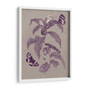 Estudio De La Naturaleza En Ciruela Y Taupe I - Maria S. Merian | Cuadro decorativo de Canvas Lab