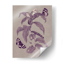 Estudio De La Naturaleza En Ciruela Y Taupe I - Maria S. Merian | Cuadro decorativo de Canvas Lab