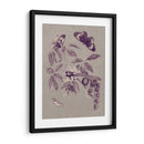 Estudio De La Naturaleza En Ciruela Y Taupe Ii - Maria S. Merian | Cuadro decorativo de Canvas Lab