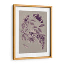 Estudio De La Naturaleza En Ciruela Y Taupe Ii - Maria S. Merian | Cuadro decorativo de Canvas Lab