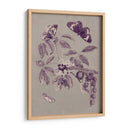 Estudio De La Naturaleza En Ciruela Y Taupe Ii - Maria S. Merian | Cuadro decorativo de Canvas Lab