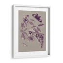 Estudio De La Naturaleza En Ciruela Y Taupe Ii - Maria S. Merian | Cuadro decorativo de Canvas Lab