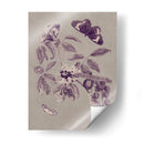 Estudio De La Naturaleza En Ciruela Y Taupe Ii - Maria S. Merian | Cuadro decorativo de Canvas Lab