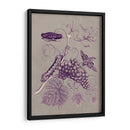 Estudio De La Naturaleza En Ciruela Y Taupe Iii - Maria S. Merian | Cuadro decorativo de Canvas Lab