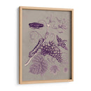 Estudio De La Naturaleza En Ciruela Y Taupe Iii - Maria S. Merian | Cuadro decorativo de Canvas Lab