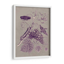 Estudio De La Naturaleza En Ciruela Y Taupe Iii - Maria S. Merian | Cuadro decorativo de Canvas Lab