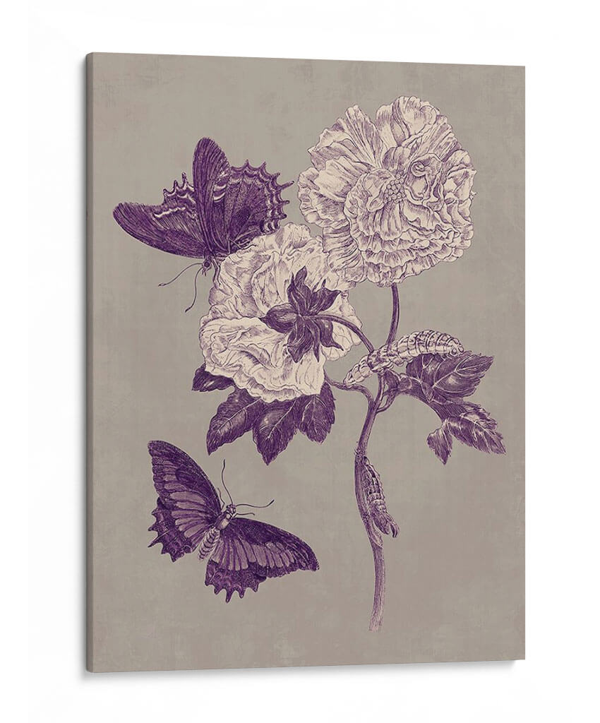 Estudio De La Naturaleza En Ciruela Y Taupe Iv - Maria S. Merian | Cuadro decorativo de Canvas Lab