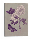 Estudio De La Naturaleza En Ciruela Y Taupe Iv - Maria S. Merian | Cuadro decorativo de Canvas Lab