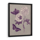 Estudio De La Naturaleza En Ciruela Y Taupe Iv - Maria S. Merian | Cuadro decorativo de Canvas Lab