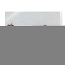 Ladera Cubierta De Nieve I - Ethan Harper | Cuadro decorativo de Canvas Lab