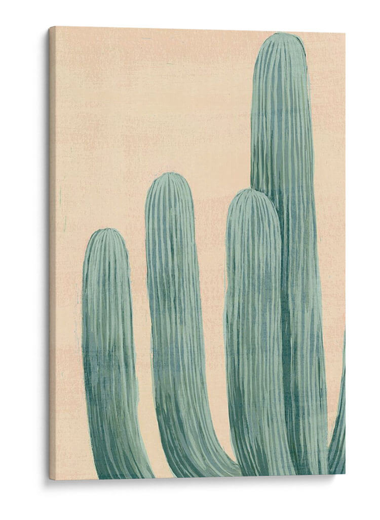 Cactus Polvoriento I - Grace Popp | Cuadro decorativo de Canvas Lab