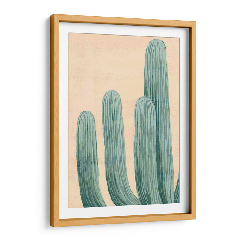 Cactus Polvoriento I - Grace Popp | Cuadro decorativo de Canvas Lab