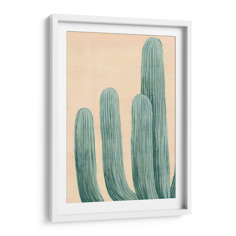 Cactus Polvoriento I - Grace Popp | Cuadro decorativo de Canvas Lab