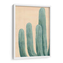 Cactus Polvoriento I - Grace Popp | Cuadro decorativo de Canvas Lab