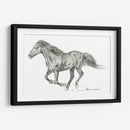 Retrato De Caballo Salvaje I - Jennifer Paxton Parker | Cuadro decorativo de Canvas Lab