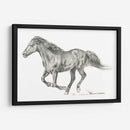 Retrato De Caballo Salvaje I - Jennifer Paxton Parker | Cuadro decorativo de Canvas Lab