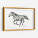 Retrato De Caballo Salvaje I - Jennifer Paxton Parker | Cuadro decorativo de Canvas Lab