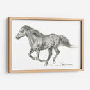 Retrato De Caballo Salvaje I - Jennifer Paxton Parker | Cuadro decorativo de Canvas Lab