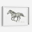 Retrato De Caballo Salvaje I - Jennifer Paxton Parker | Cuadro decorativo de Canvas Lab