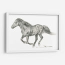 Retrato De Caballo Salvaje I - Jennifer Paxton Parker | Cuadro decorativo de Canvas Lab