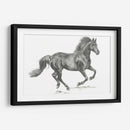 Retrato De Caballo Salvaje Ii - Jennifer Paxton Parker | Cuadro decorativo de Canvas Lab