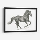 Retrato De Caballo Salvaje Ii - Jennifer Paxton Parker | Cuadro decorativo de Canvas Lab