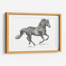 Retrato De Caballo Salvaje Ii - Jennifer Paxton Parker | Cuadro decorativo de Canvas Lab