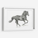 Retrato De Caballo Salvaje Ii - Jennifer Paxton Parker | Cuadro decorativo de Canvas Lab