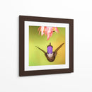 Colibrí a detalle | Cuadro decorativo de Canvas Lab