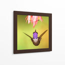 Colibrí a detalle | Cuadro decorativo de Canvas Lab