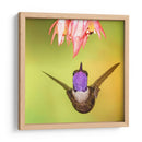 Colibrí a detalle | Cuadro decorativo de Canvas Lab