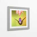 Colibrí a detalle | Cuadro decorativo de Canvas Lab