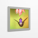 Colibrí a detalle | Cuadro decorativo de Canvas Lab