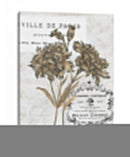 Petite Beaute I - Melissa Wang | Cuadro decorativo de Canvas Lab