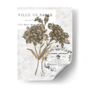 Petite Beaute I - Melissa Wang | Cuadro decorativo de Canvas Lab