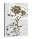 Petite Beaute Ii - Melissa Wang | Cuadro decorativo de Canvas Lab