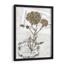 Petite Beaute Ii - Melissa Wang | Cuadro decorativo de Canvas Lab