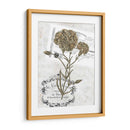 Petite Beaute Ii - Melissa Wang | Cuadro decorativo de Canvas Lab