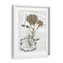 Petite Beaute Ii - Melissa Wang | Cuadro decorativo de Canvas Lab