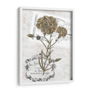 Petite Beaute Ii - Melissa Wang | Cuadro decorativo de Canvas Lab