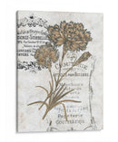 Petite Beaute Iii - Melissa Wang | Cuadro decorativo de Canvas Lab