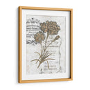 Petite Beaute Iii - Melissa Wang | Cuadro decorativo de Canvas Lab