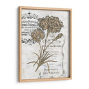 Petite Beaute Iii - Melissa Wang | Cuadro decorativo de Canvas Lab