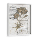 Petite Beaute Iii - Melissa Wang | Cuadro decorativo de Canvas Lab