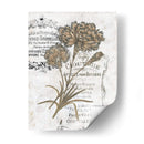 Petite Beaute Iii - Melissa Wang | Cuadro decorativo de Canvas Lab