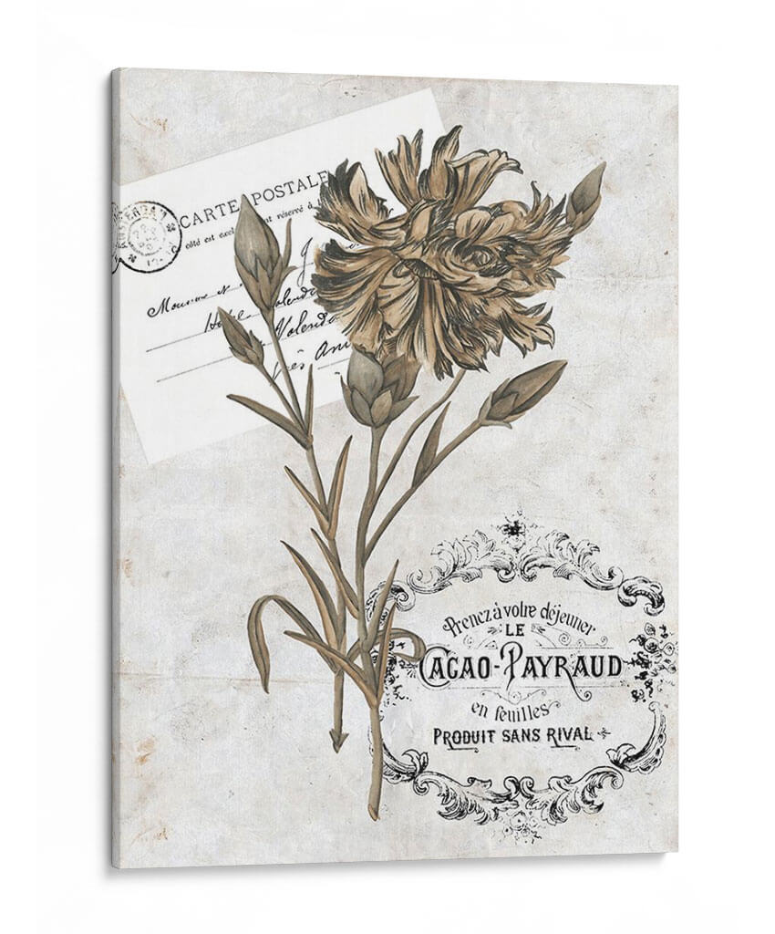 Petite Beaute Iv - Melissa Wang | Cuadro decorativo de Canvas Lab