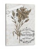 Petite Beaute Iv - Melissa Wang | Cuadro decorativo de Canvas Lab