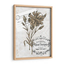 Petite Beaute Iv - Melissa Wang | Cuadro decorativo de Canvas Lab