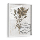 Petite Beaute Iv - Melissa Wang | Cuadro decorativo de Canvas Lab